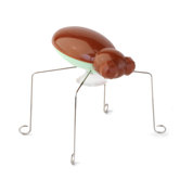 Whalt Jumping Bug