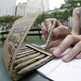 Tree Friendly Recycled Paper Pencils