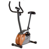 Upright Bike