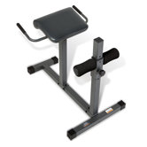 Roman / Hyper Extension Bench Chair