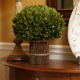 Preserved Boxwoods Preserved Greens Topiary Willow Stand