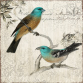 Nesting II Canvas Wall Art