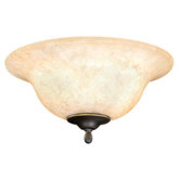 Two Light Ceiling Fan Light Kit