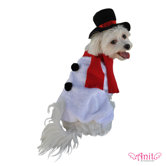 Snowman Dog Costume