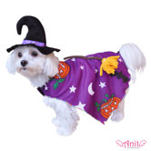 Pumpkin Witch Dog Costume