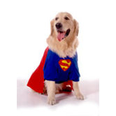 Superdog Dog Costume
