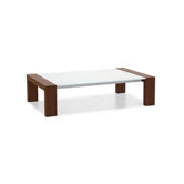 Modern Low Coffee Table