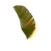 Recycled Banana Leaf Sconce