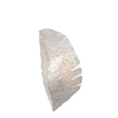 Banana Leaf Two Light Wall Sconce with Crushed Natural Capiz