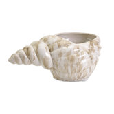 Minoa Shell Planter