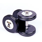120 lbs Pro-Style Cast Dumbbells in Black