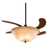 Ceiling Fans with Lights