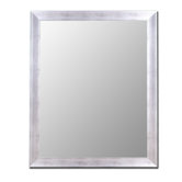 Cameo Collection Mirror in Vintage Silver