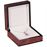 Presentation Cases