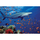 Shark Cardboard Jigsaw Puzzle