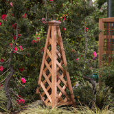 Phat Tommy Coppertop Trellis