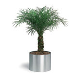 Greens Planters