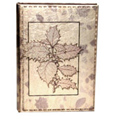 "Silver Sprig" Album