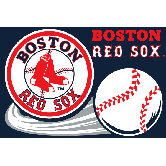 MLB Novelty Rug