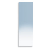 Linea 12.6" Speci Bathroom Mirror in Stainless Steel