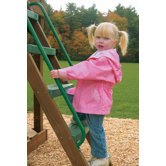 Access Ladder Handles