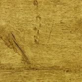 Traditional Clicette 7mm Maine Maple Laminate in Natural