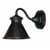 Dark Sky Essen  Wall Lantern in Bronze