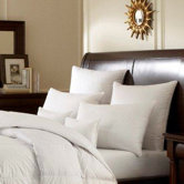 LOGANA  Batiste  800 White Goose Down Pillow