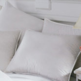 Centera Sandwich Pillow in White