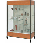Mobile Trophy and Art Display Case with Half Width Shelves