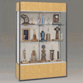 Trophy and Art Display Case with Full Width Shelves