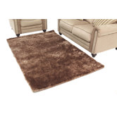 Brown Shag Rug