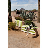 Catamaran Sprout/Ivory Striped Rug