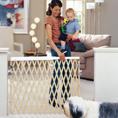 Expandable Swing Gate