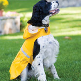 Seattle Slicker Dog Raincoat in Yellow