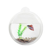 Acrylic Wall Mount Fishbowl