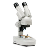 The Professor Stereo Microscope