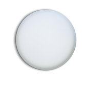 RS100 Internal Sensor Light