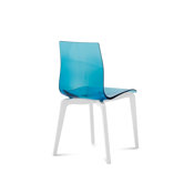 New from Domitalia