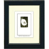 Clean Cut Picture Frame