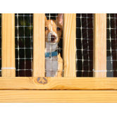 Deck Guard