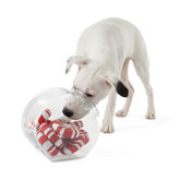 Orbee Tuff Mint Dog Toy in Red