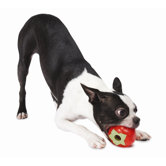 Orbee-Tuff Strawberry Dog Toy with Treat Spot