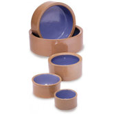 Crock Cat and Reptiles Ceramic Dish in Tan and Blue