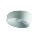 Lumiere Wall Sconce or Flush Mount
