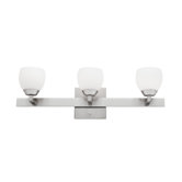 Oakland 3 Light Bath Vanity Light