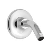 Alteo Shower Arm And Flange