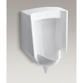 Stanwell Blow-Out Wall-Mount 1 Gpf Urinal with Rear Spud