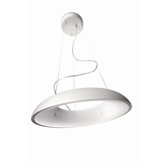 1 Light Pendant