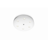 Ledino 6 Light Ceiling Lamp